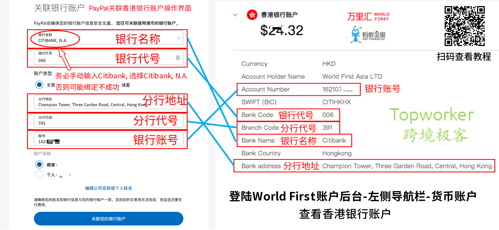 Paypal后台绑定World First香港银行账户信息示意图